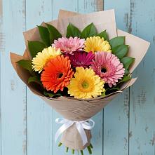 Букет цветов из:  Герберы в Сунтаре