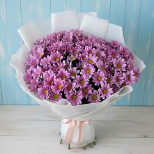 Букет цветов из:  Хризантемы #REPLACE_PRED# Сунтаре