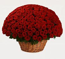 Премиум букет из: Розы в Сунтаре