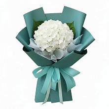 Букет цветов из:  Гортензия в Сунтаре